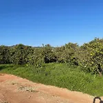 Orange Grove Dom wakacyjny Silves