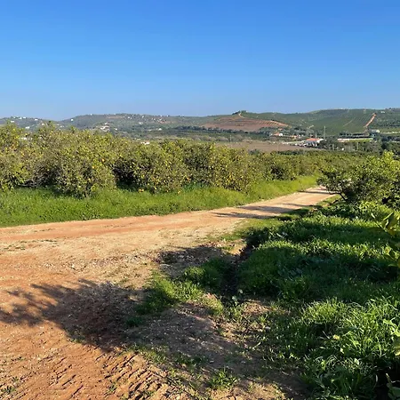 Σπίτι διακοπών Orange Grove *