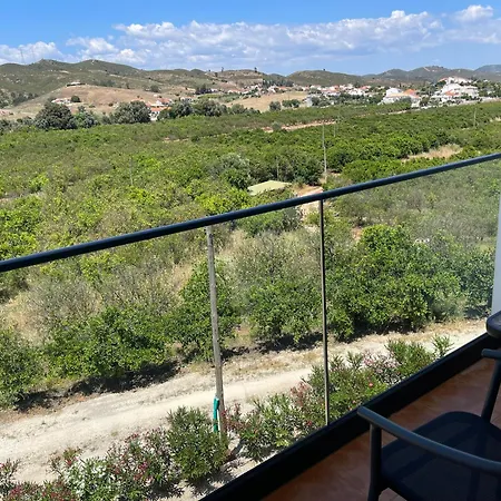 Orange Grove