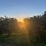 Orange Grove 펜션