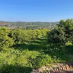 펜션 Orange Grove *
