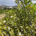 Orange Grove Nyaraló