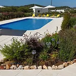 Orange Grove Silves