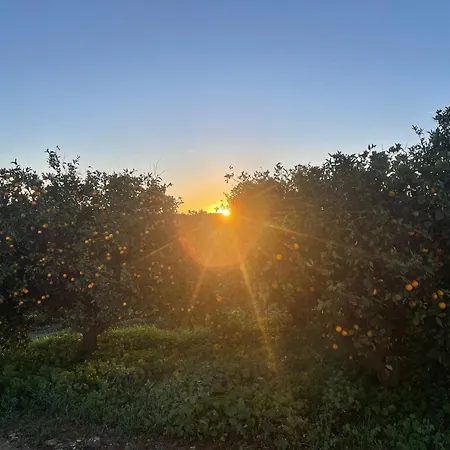 Orange Grove Holiday home