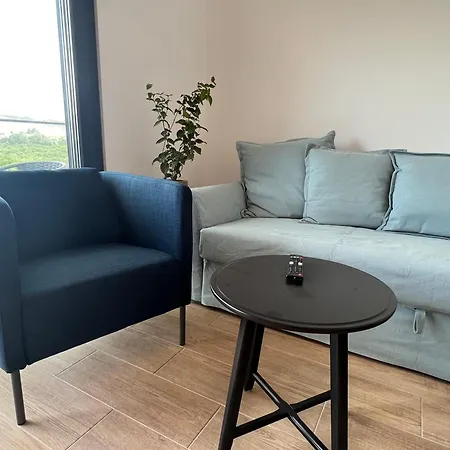 Orange Grove シルヴェス