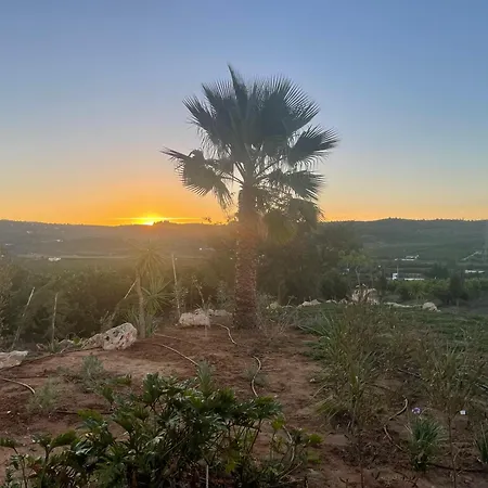 Orange Grove Holiday home