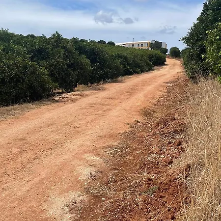 Σπίτι διακοπών Orange Grove