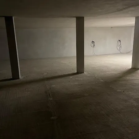 Orange Grove シルヴェス