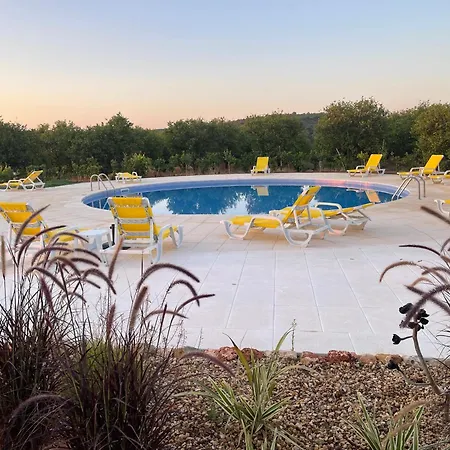 Orange Grove Silves