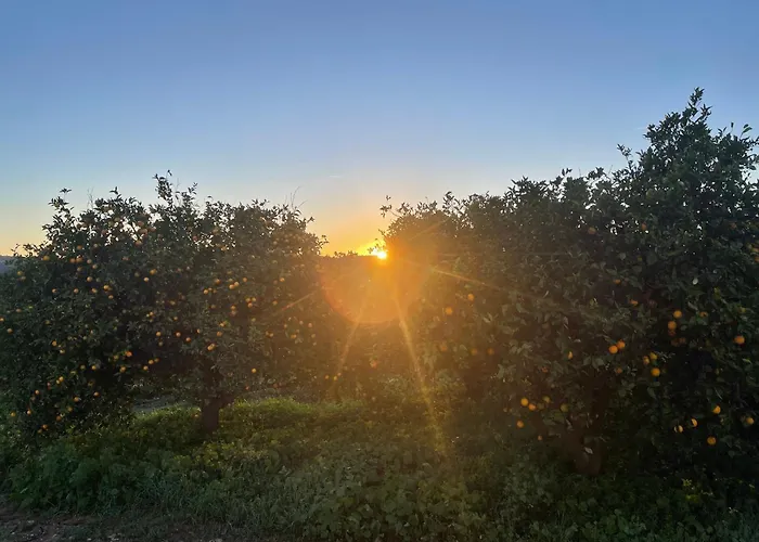 Orange Grove Dom wakacyjny