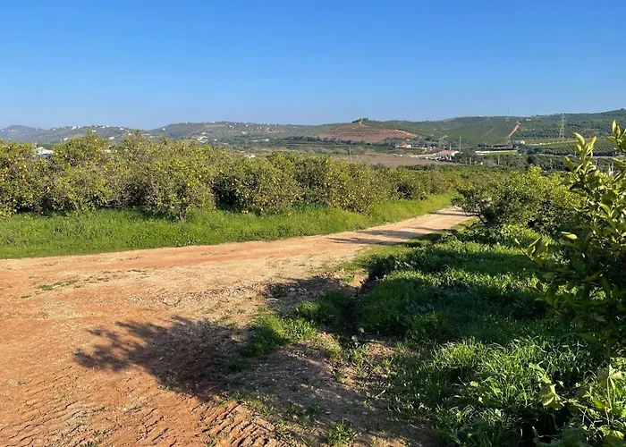 Dom wakacyjny Orange Grove *