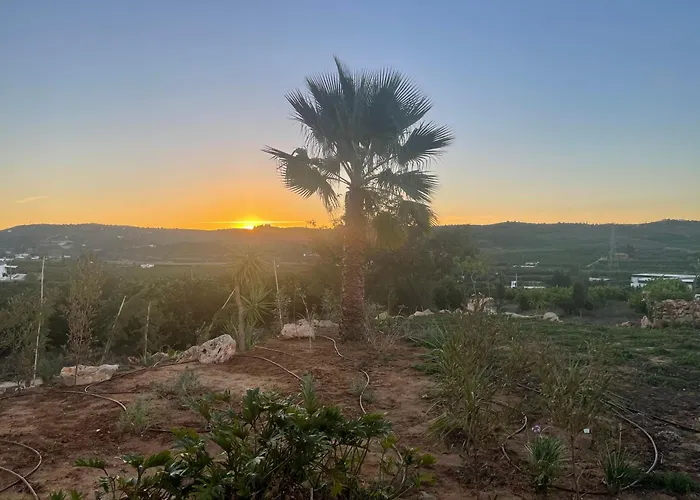 Orange Grove Dom wakacyjny