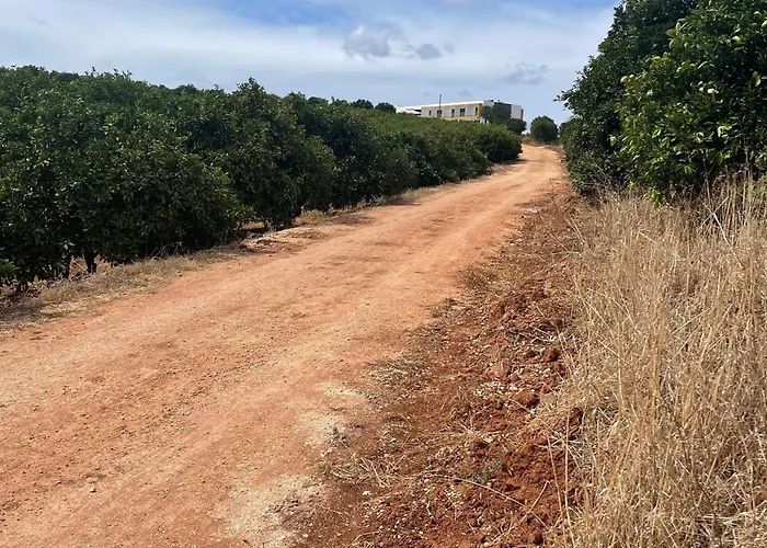 Dom wakacyjny Orange Grove