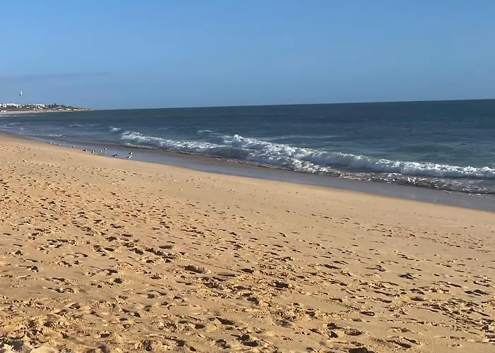 Orange Grove Dom wakacyjny