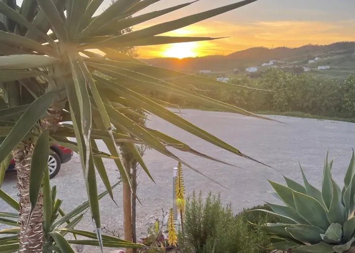 Dom wakacyjny Orange Grove