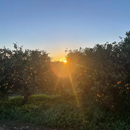 Orange Grove Prázdninový dům