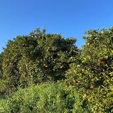 Orange Grove Prázdninový dům *