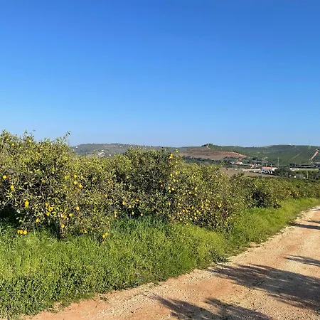 Orange Grove Prázdninový dům *