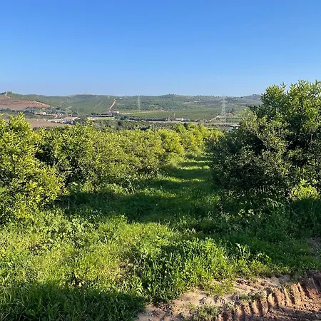 Prázdninový dům Orange Grove *